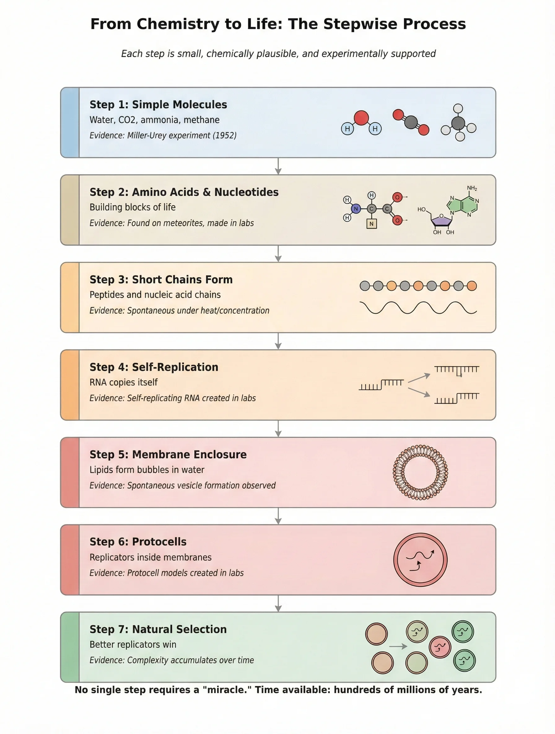 Step-by-step process of abiogenesis